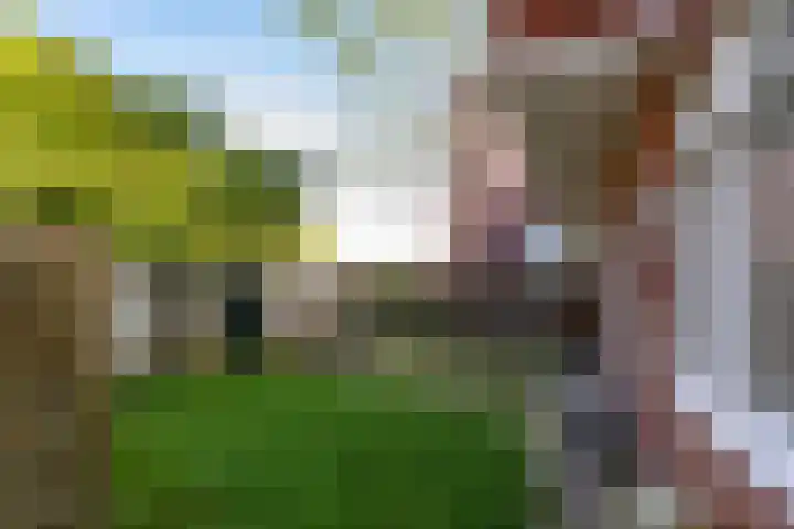 Oosterhamrikkade 72 Groningen thumbnail 32