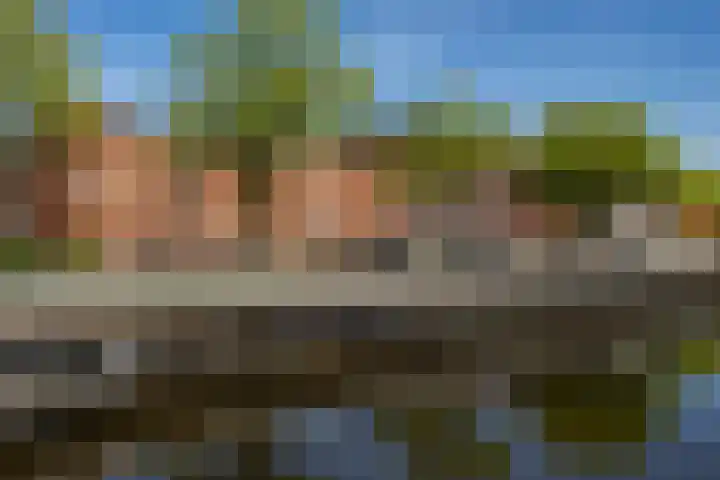 Oosterhamrikkade 72 Groningen thumbnail 4