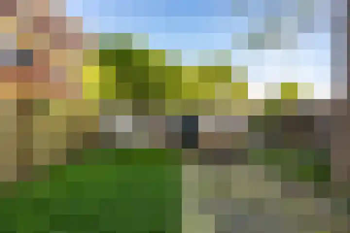 Oosterhamrikkade 72 Groningen thumbnail 6
