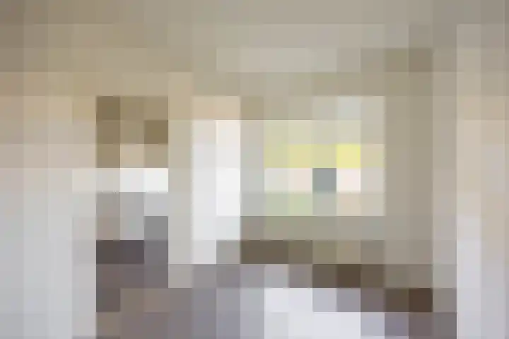 Oosterhamrikkade 72 Groningen thumbnail 7