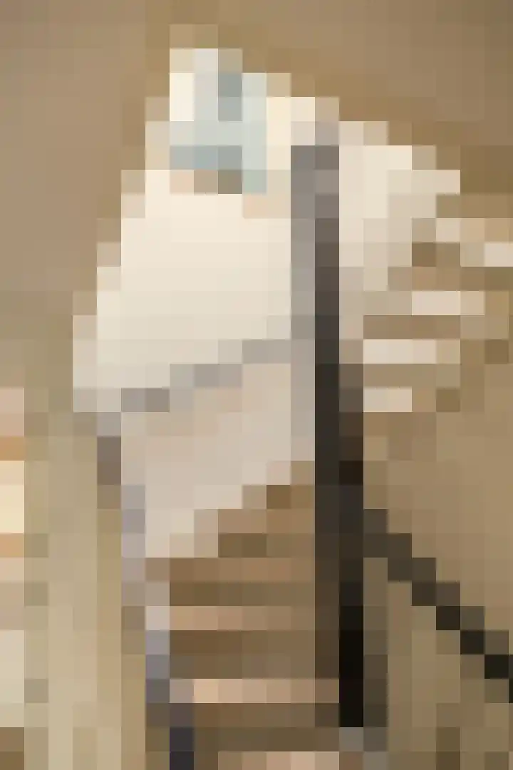 Oosterhamrikkade 84 e Groningen thumbnail 30