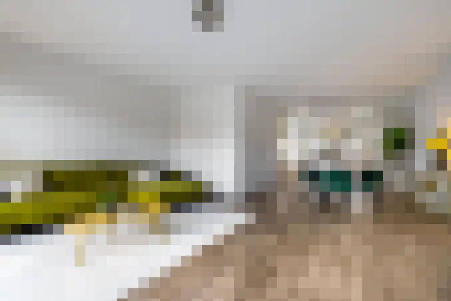 Oosterhamrikkade 84 g Groningen thumbnail 10