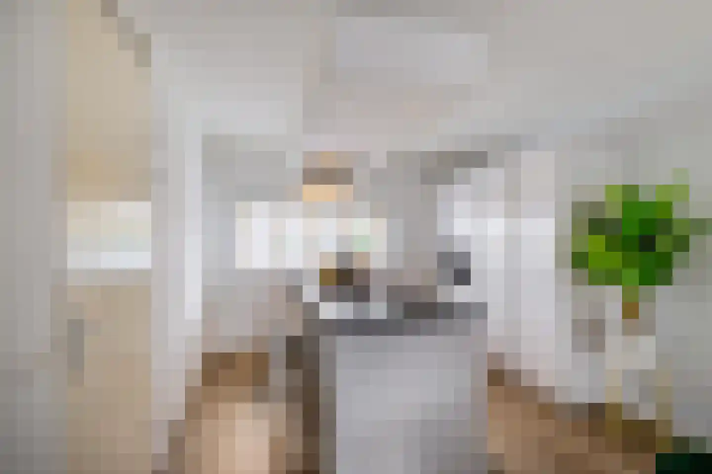 Oosterhamrikkade 84 g Groningen thumbnail 4
