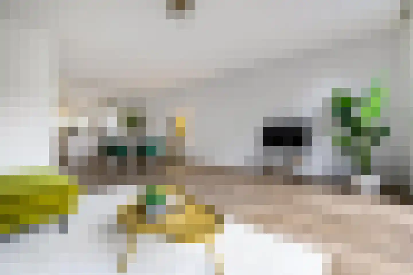 Oosterhamrikkade 84 g Groningen thumbnail 9