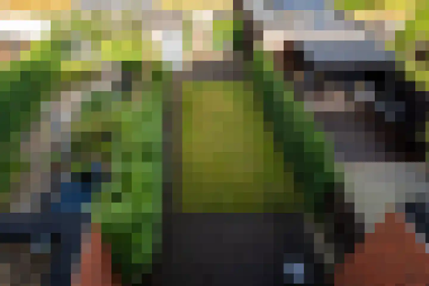 Oosterhamrikkade 84 t Groningen thumbnail 36