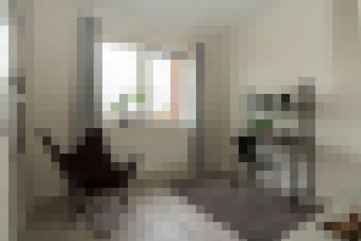 Oosterhamrikkade 84 t Groningen thumbnail 37