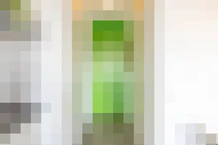 Oosterhamrikkade 9 a Groningen thumbnail 7