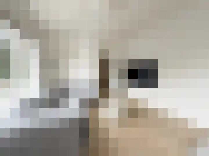 Oosterhamrikkade 91 Groningen thumbnail 8