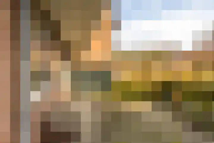 Oosterhamrikkade 93 Groningen thumbnail 30