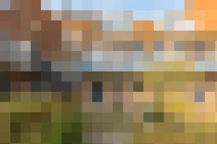 Oosterhamrikkade 93 Groningen thumbnail 33