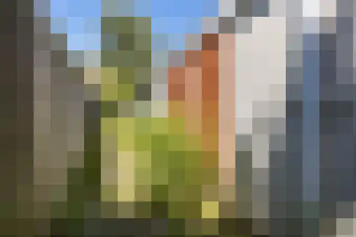 Oosterhamrikkade 94 Groningen thumbnail 29