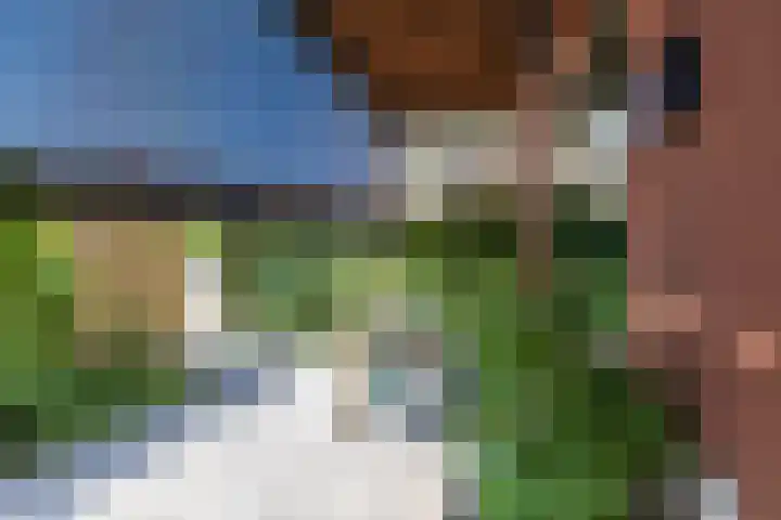 Oosterhamrikkade 97 d Groningen thumbnail 40