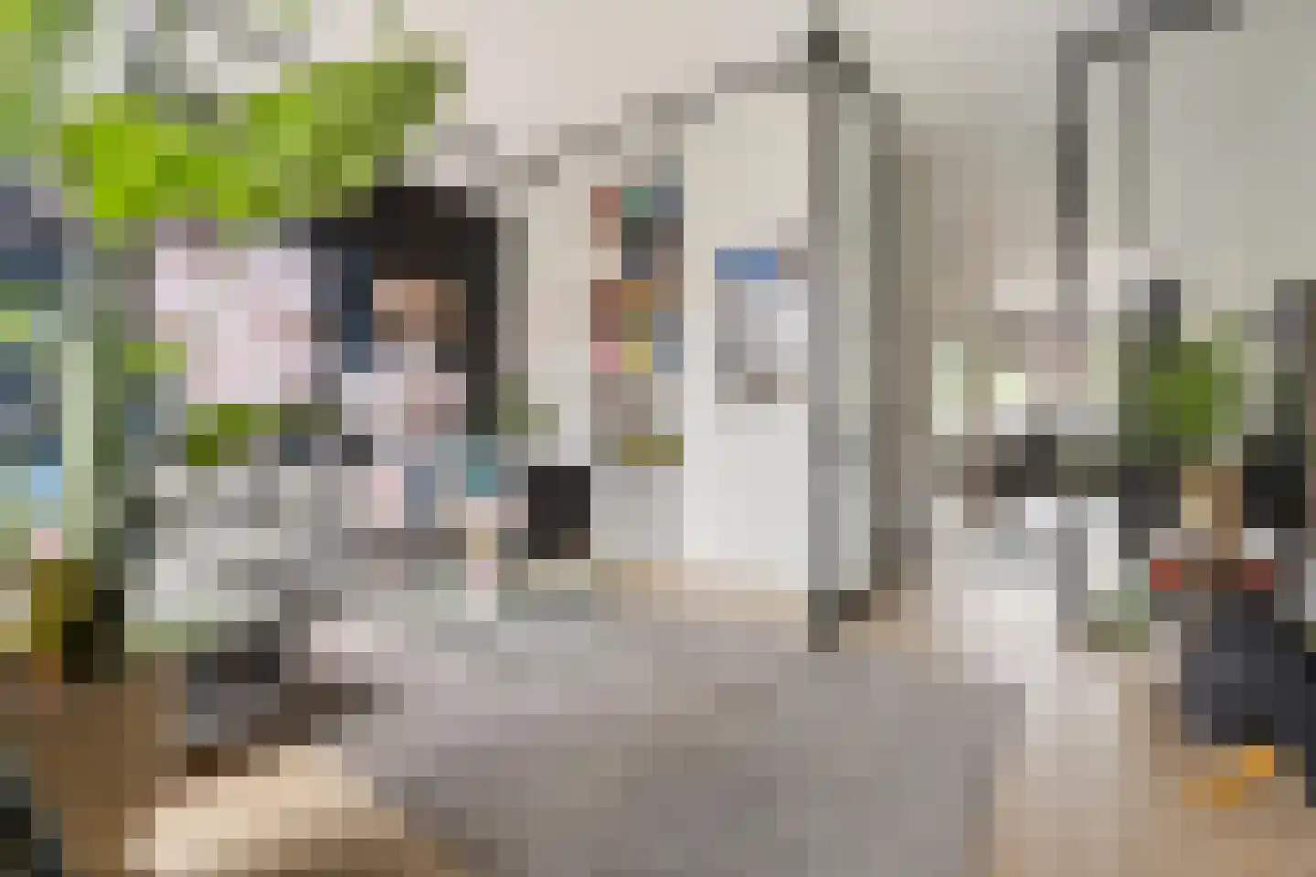 Oosterhamrikkade 97 g Groningen thumbnail 21