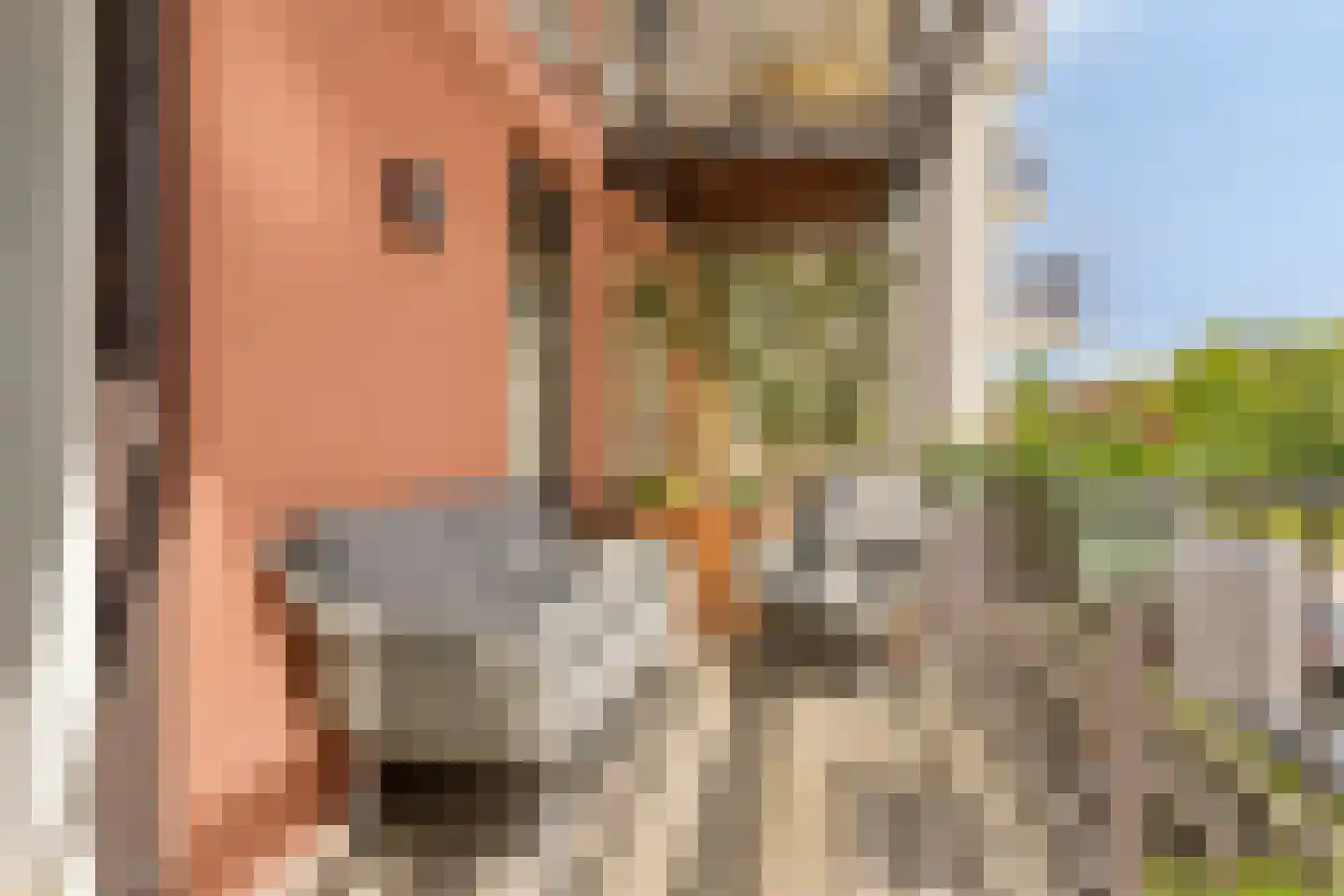 Oosterhamrikkade 99 g Groningen thumbnail 19