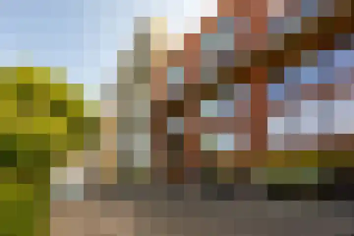 Oosterhamrikkade 99 Groningen thumbnail 4