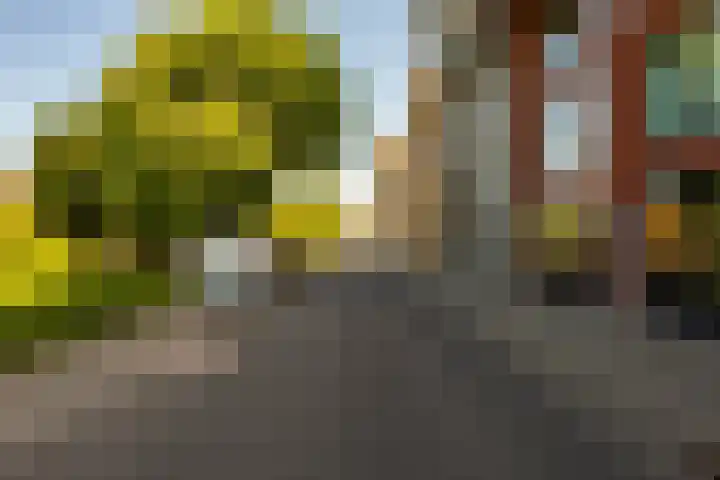 Oosterhamrikkade 99 Groningen thumbnail 43