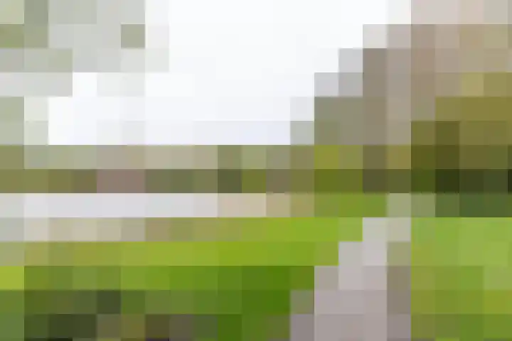 Oosterhamriklaan 14 Groningen thumbnail 31