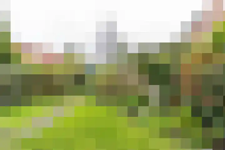 Oosterhamriklaan 14 Groningen thumbnail 4