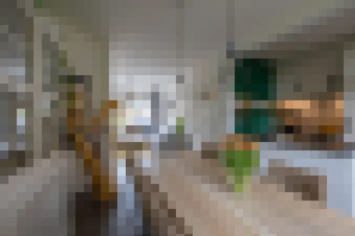 Oosterhamriklaan 4 Groningen thumbnail 15