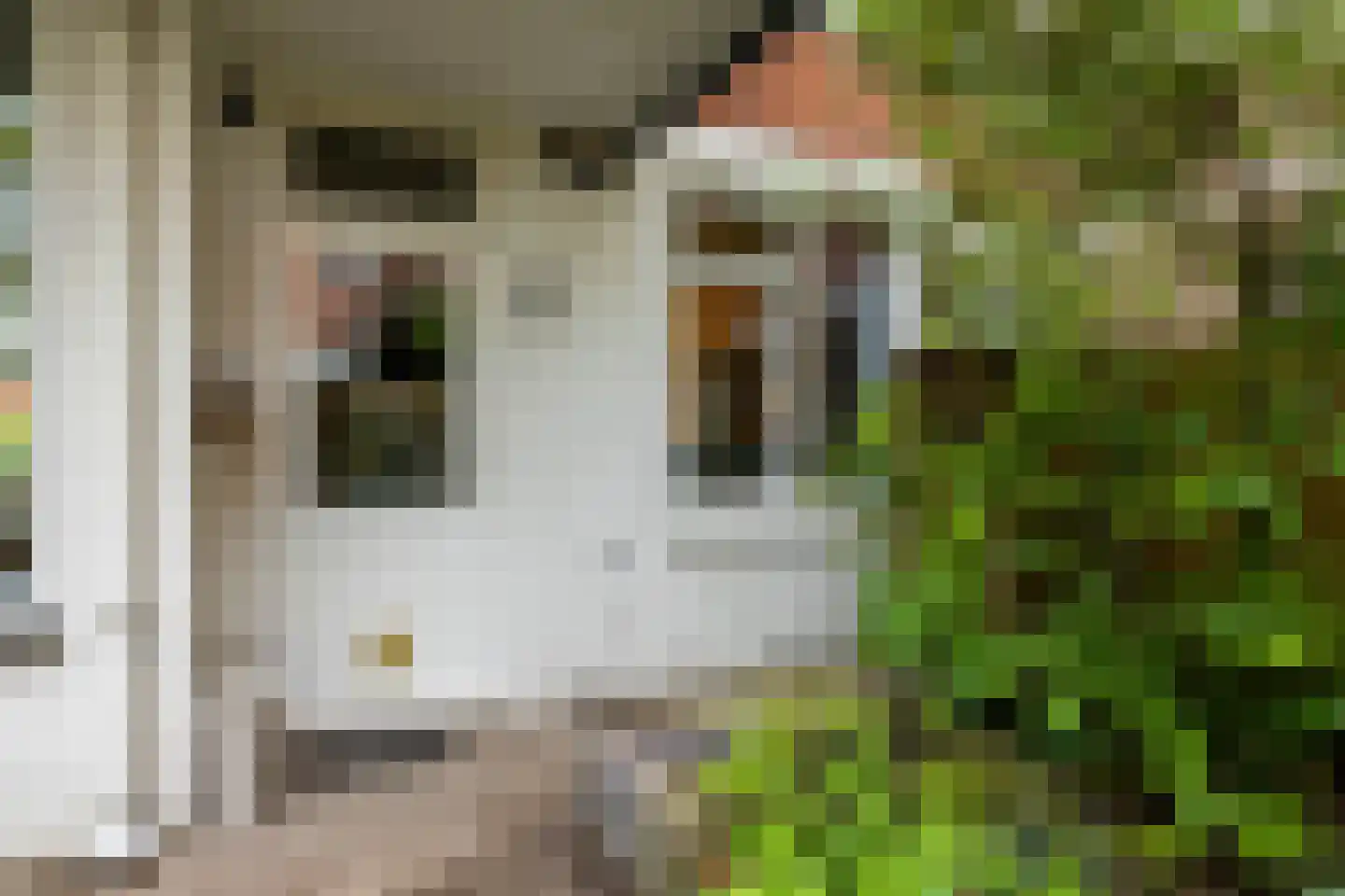 Oosterhamriklaan 4 Groningen thumbnail 24