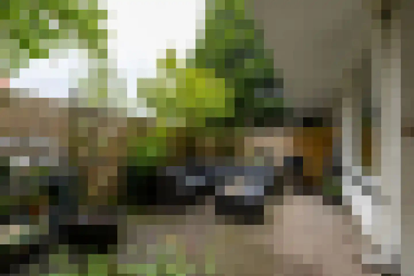 Oosterhamriklaan 4 Groningen thumbnail 4