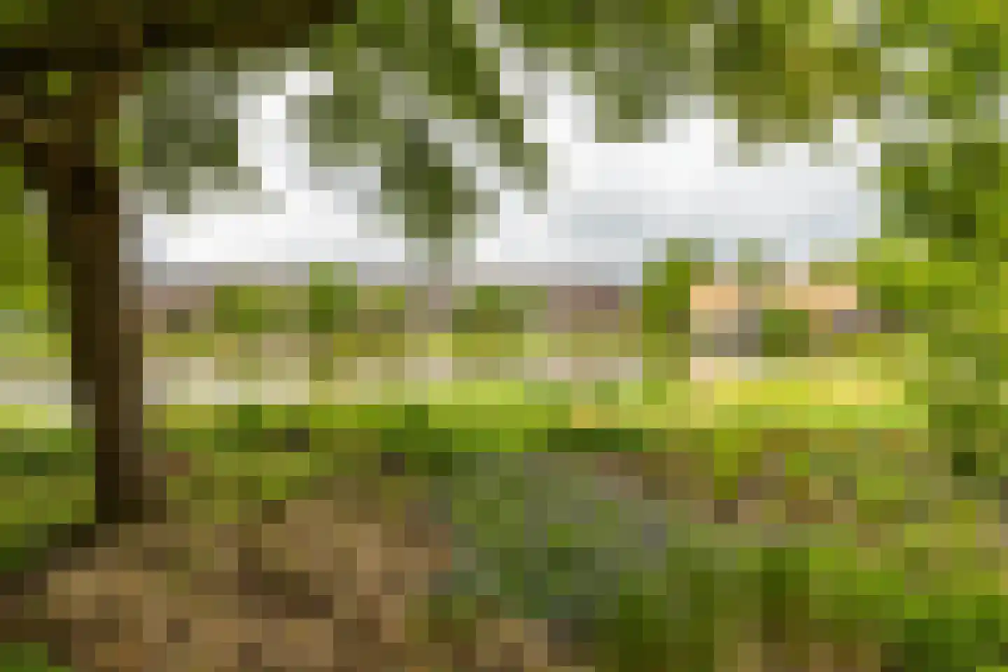 Oosterhamriklaan 4 Groningen thumbnail 5