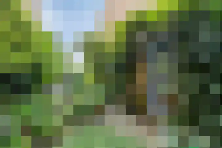 Oosterhamriklaan 52 Groningen thumbnail 11