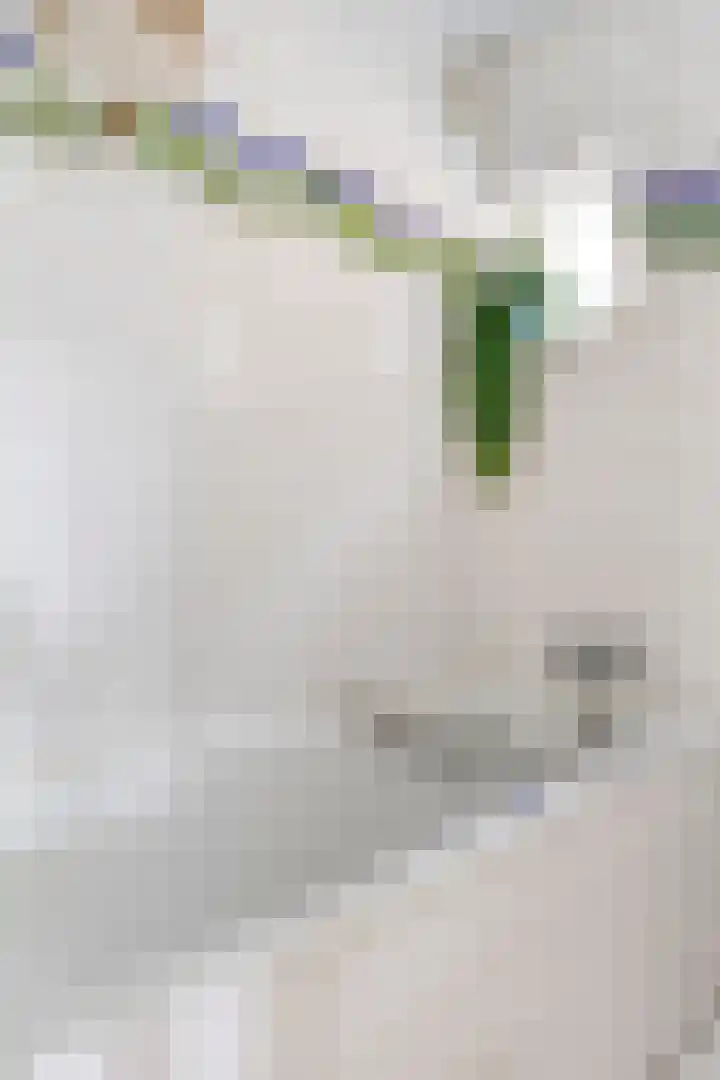 Oosterhamriklaan 52 Groningen thumbnail 30