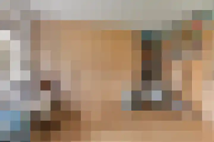 Oosterhamriklaan 52 Groningen thumbnail 32