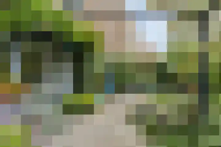 Oosterhamriklaan 52 Groningen thumbnail 34