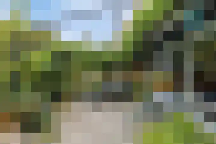 Oosterhamriklaan 52 Groningen thumbnail 35