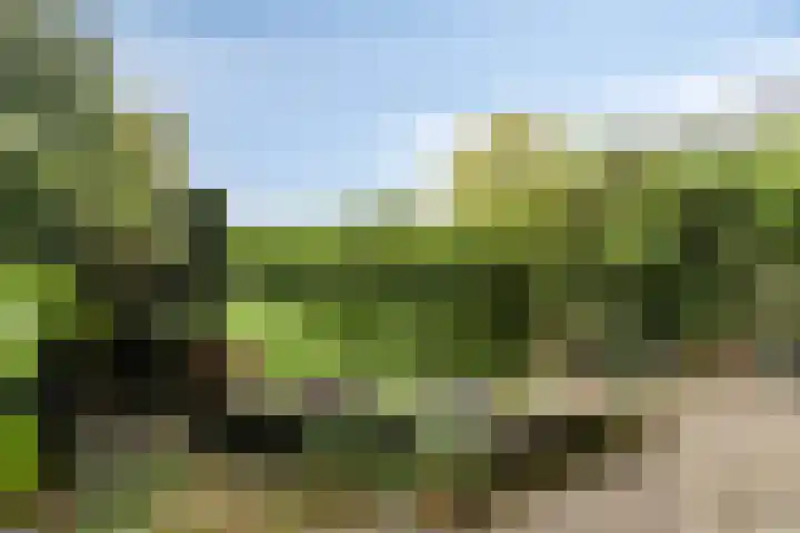 Oosterhamriklaan 52 Groningen thumbnail 36
