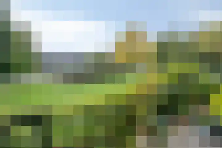 Oosterhamriklaan 52 Groningen thumbnail 40
