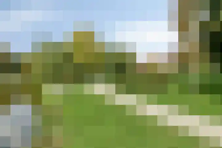 Oosterhamriklaan 52 Groningen thumbnail 45