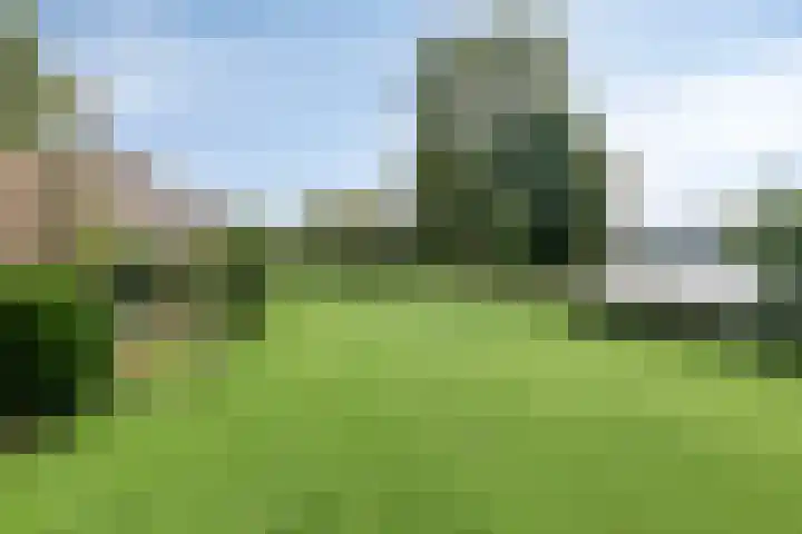 Oosterhamriklaan 52 Groningen thumbnail 46