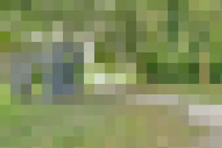 Oosterhamriklaan 52 Groningen thumbnail 47