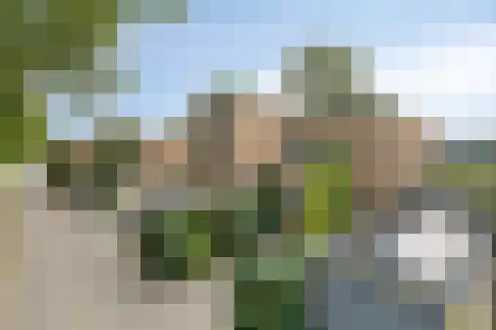 Oosterhamriklaan 52 Groningen thumbnail 9