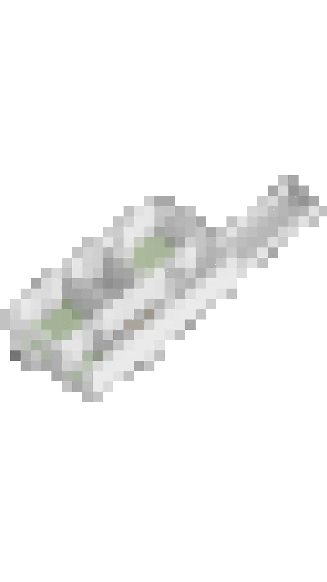 Oosterhaven 4 a Groningen thumbnail 51
