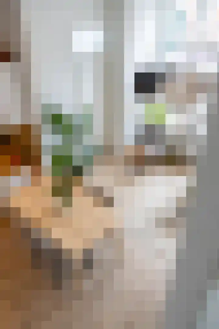 Oosterhavenstraat 9 Groningen thumbnail 12
