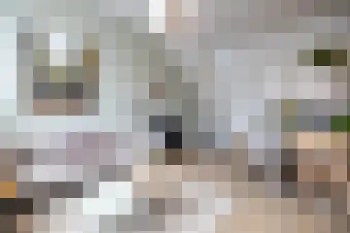 Oosterhavenstraat 9 Groningen thumbnail 5