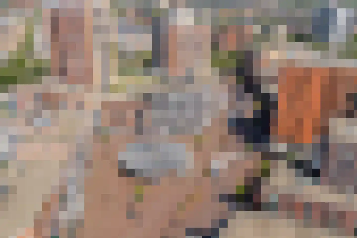 Oosterheemplein 470 Zoetermeer thumbnail 35