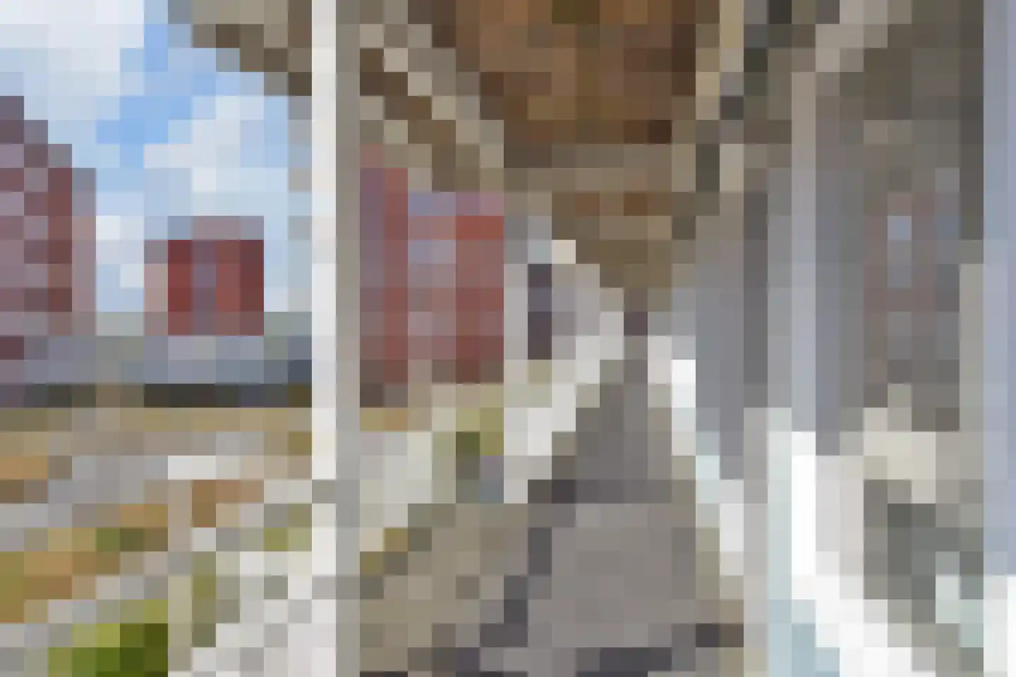 Oosterheemplein 509 Zoetermeer thumbnail 10