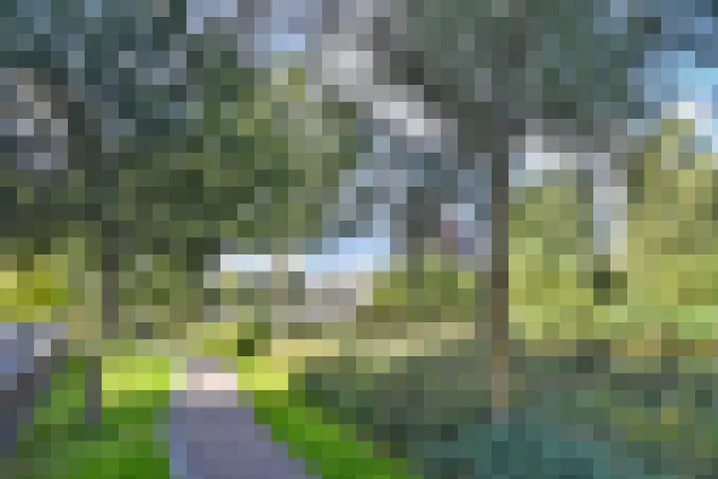 Oosterheemplein 509 Zoetermeer thumbnail 41