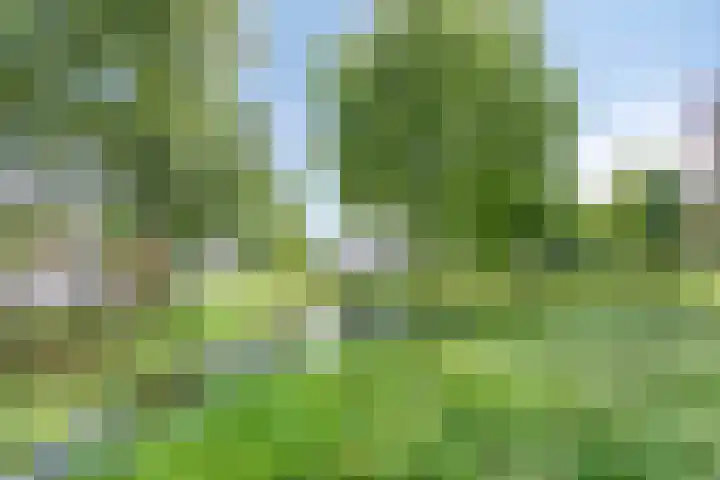 Oosterheerdtstraat 14 Leek thumbnail 24