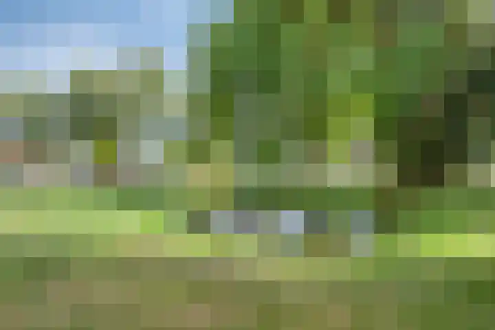 Oosterheerdtstraat 14 Leek thumbnail 25