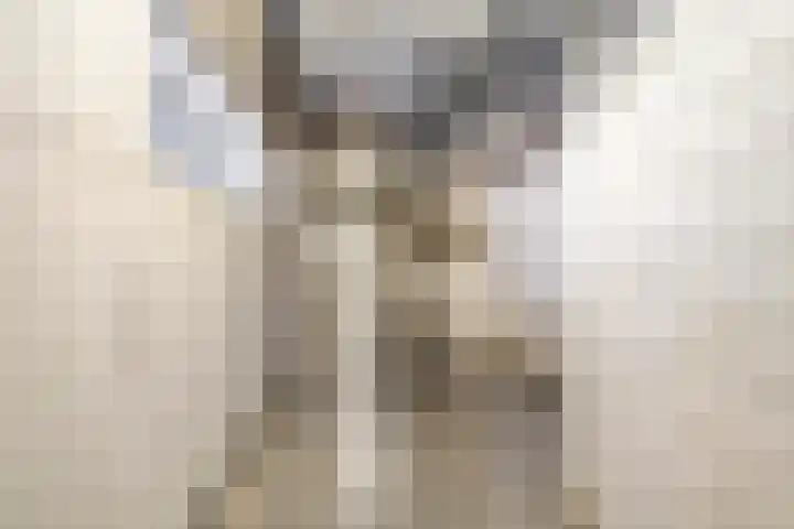 Oosterheerdtstraat 14 Leek thumbnail 29