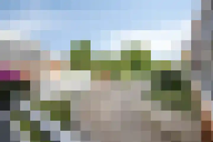 Oosterheerdtstraat 14 Leek thumbnail 33