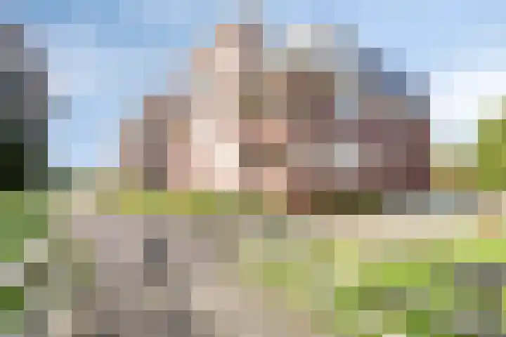 Oosterheerdtstraat 14 Leek thumbnail 38