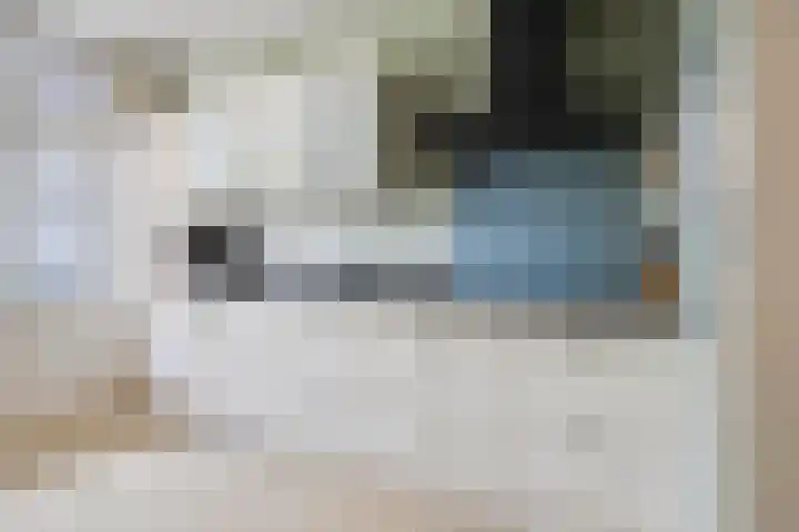 Oosterheerdtstraat 14 Leek thumbnail 9