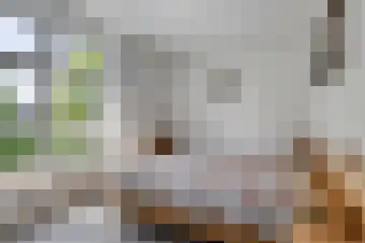 Oosterheerdtstraat 18 Leek thumbnail 10